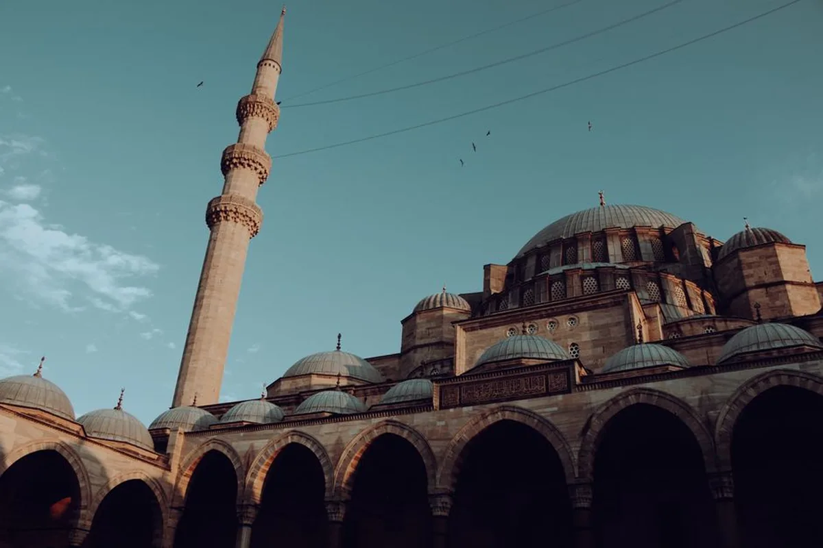 السلطان سليمان القانوني — تاريخ تركيا